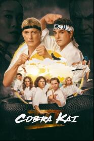 Assistir Cobra Kai online